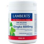 LAMBERTS GINKGO BILOBA EXTRACT 6000MG 30TABS